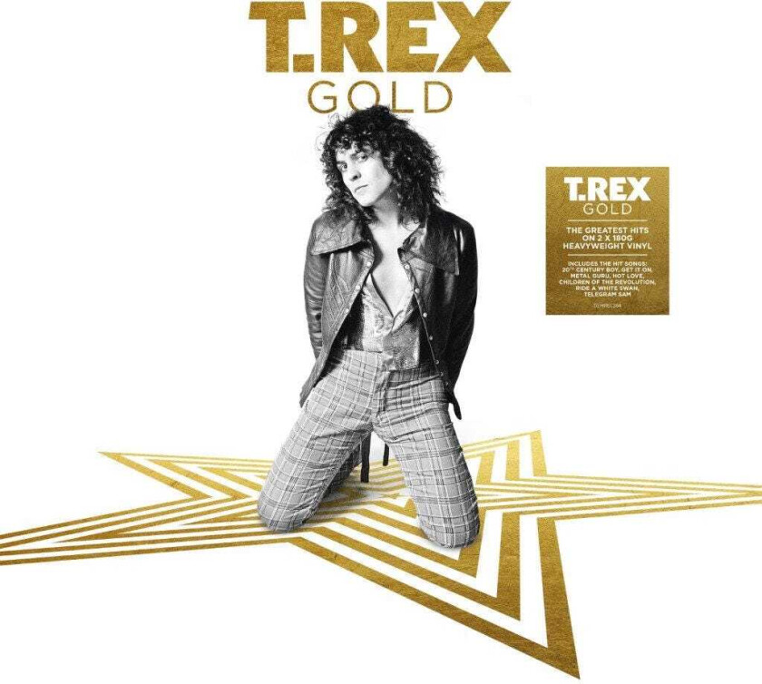 Marc Bolan & T.Rex Gold LP/Vinyl