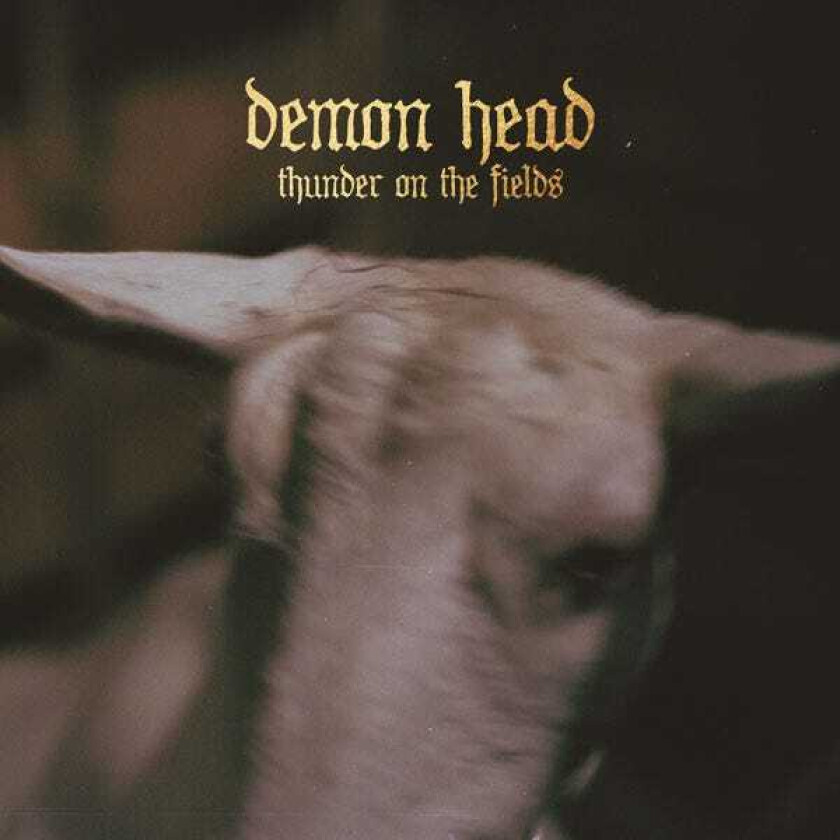 Demon Head Thunder On The Fields CD