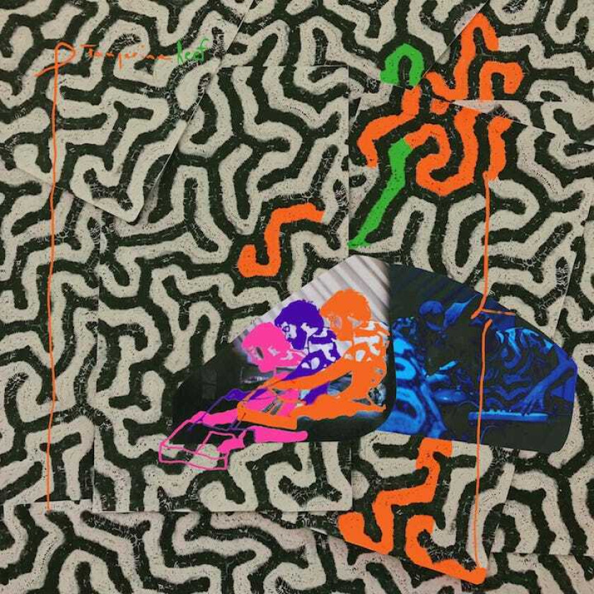 Animal Collective Tangerine Reef LP/Vinyl