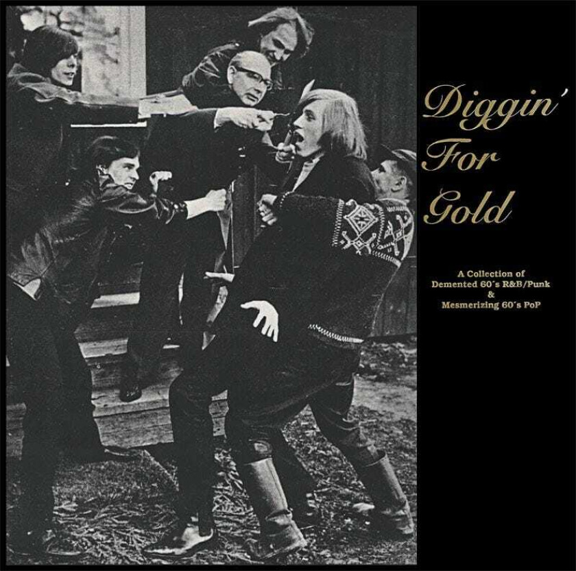 Diverse Artister  Diggin' For Gold  LP/Vinyl