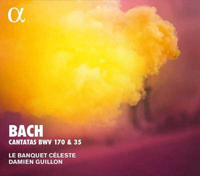 Le Banquet Celeste, Damien Guillon Bach: Cantatas BWV 170 35 CD