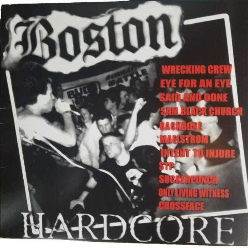 Diverse Punk, Diverse Artister  Boston Hardcore 8991  LP/Vinyl