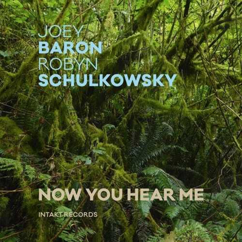 Joey Baron & Robyn Schulkowsky  Now You Hear Me  CD