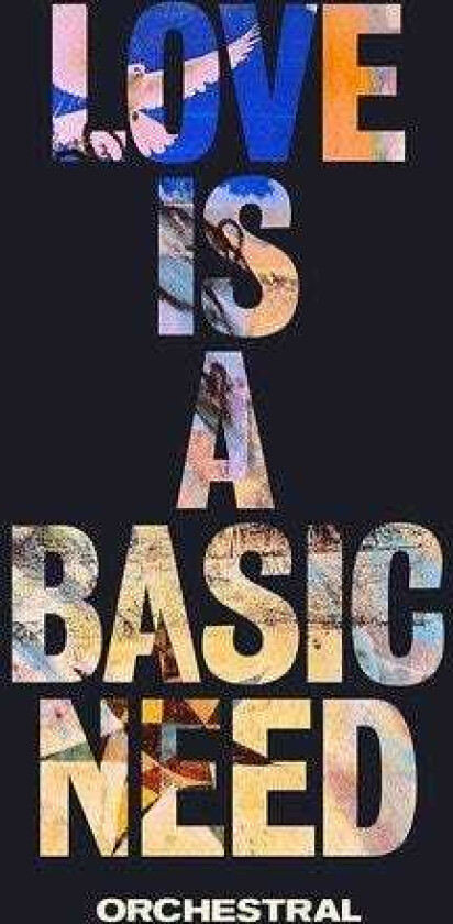 Embrace Love Is A Basic Need Orchestra LP/Vinyl