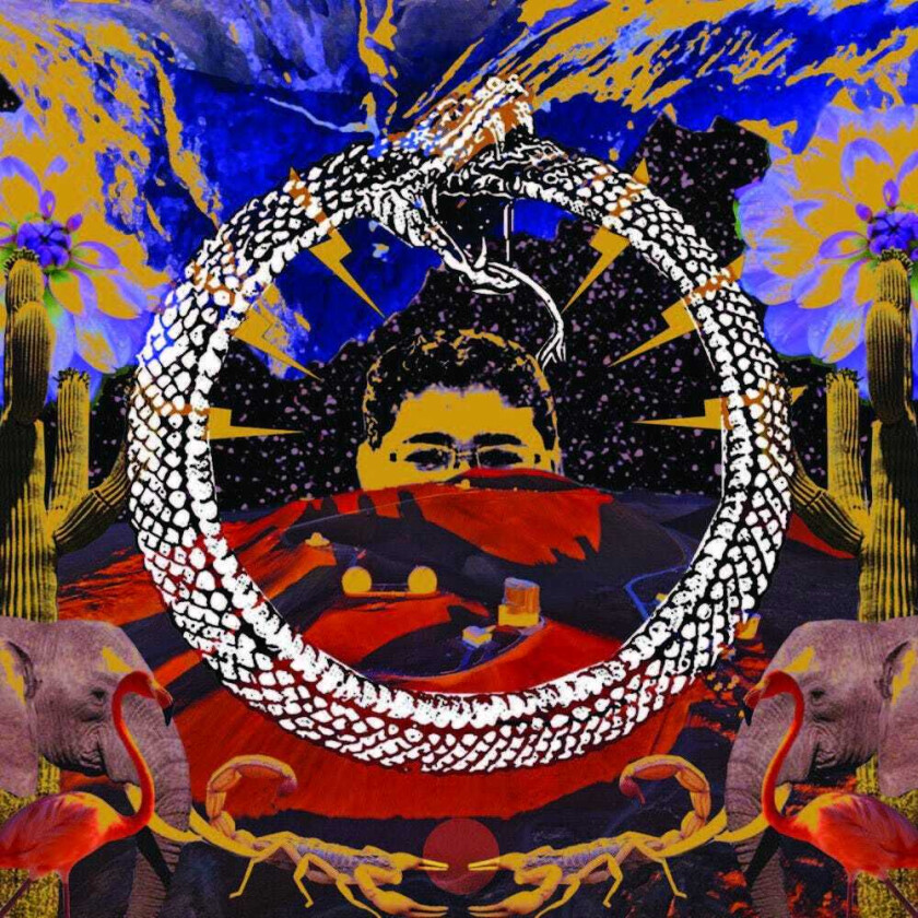 Stone House On Fire Neverending Cycle LP/Vinyl
