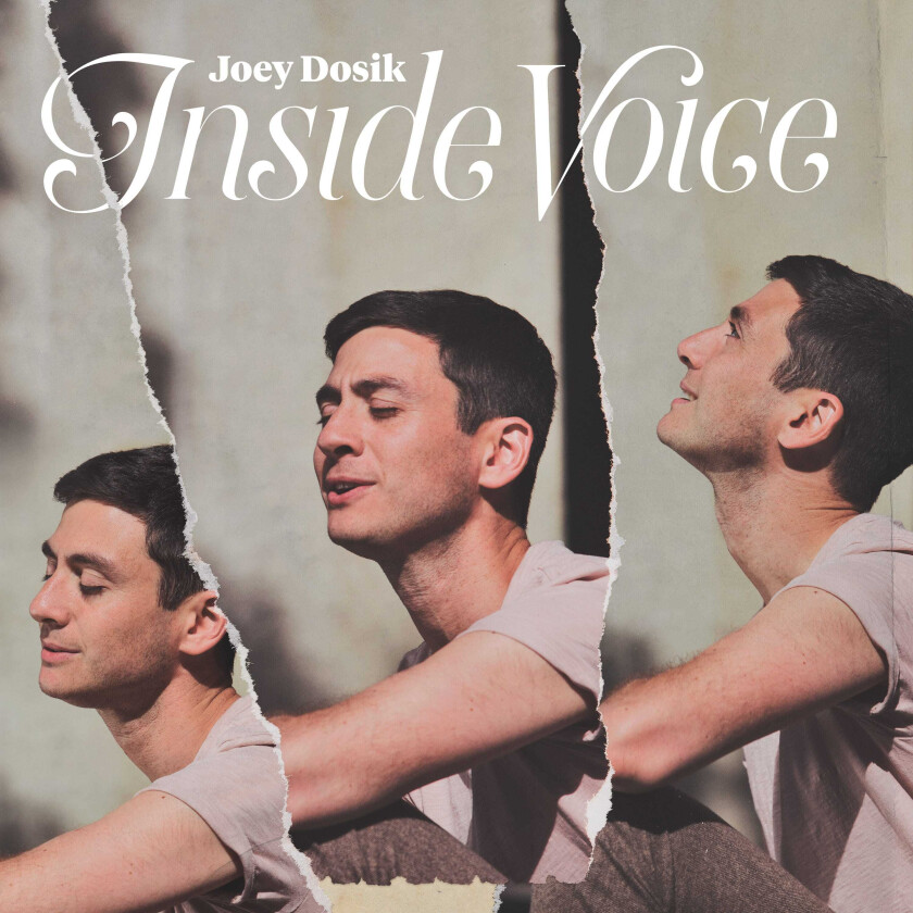 Joey Dosik  Inside Voice  CD