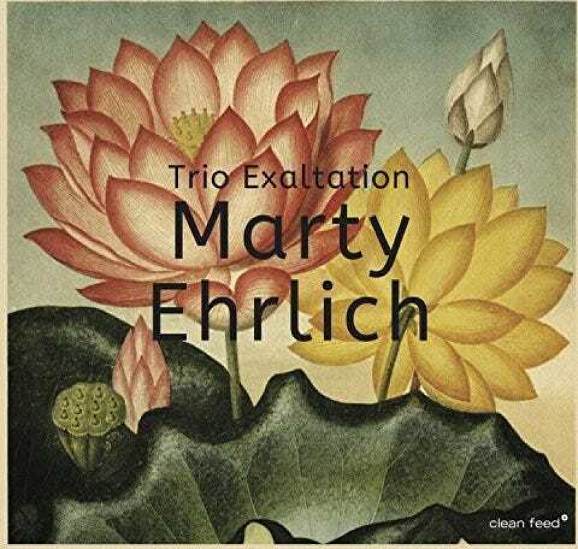 Marty Ehrlich  Trio Exaltation  CD