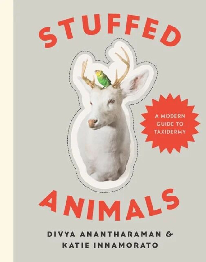Stuffed Animals av Divya Anantharaman, Katie Innamorato