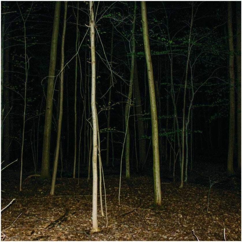 Express Rising Fixed Rope II LP/Vinyl