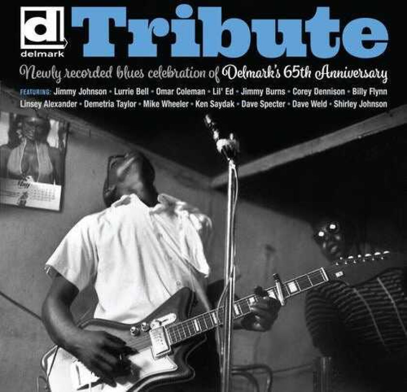 Diverse Blues Tribute: Delmark's 65th Anniversary LP/Vinyl