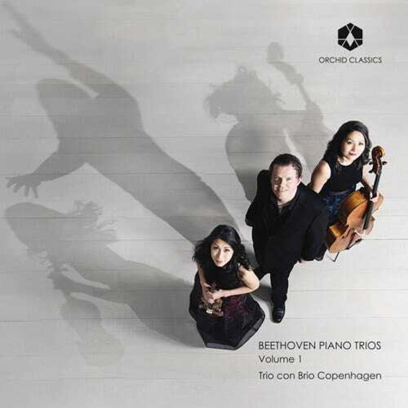Trio Con Brio Copenhagen Piano Trios Vol. 1 CD