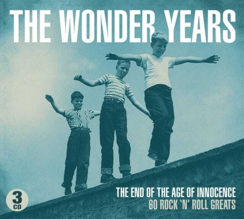 Diverse Artister The Wonder Years CD