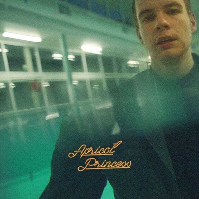 Rex Orange County Apricot Princess LP/Vinyl