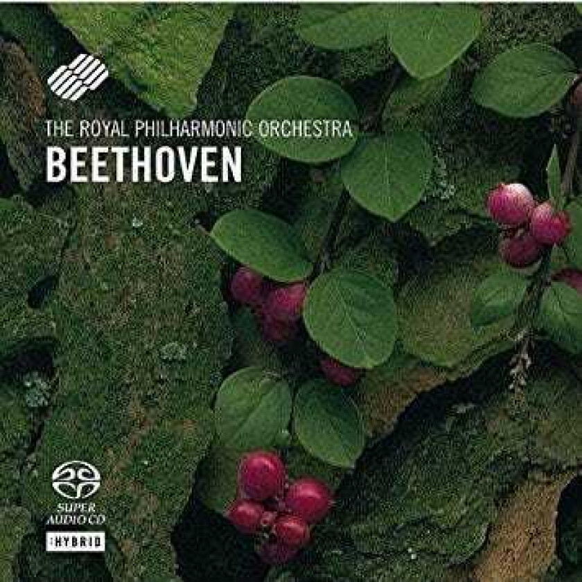 Royal Philharmonic Orchestra  Beethoven: Sinfonie 2 & 8  CD