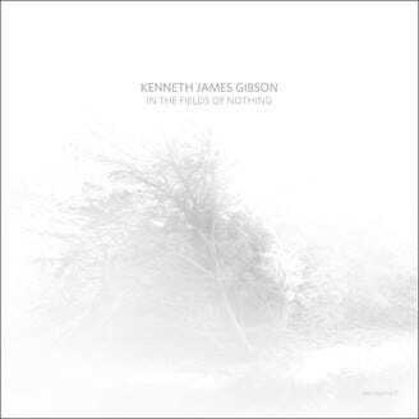 Kenneth James Gibson In The Fields Of Nothing LP/Vinyl