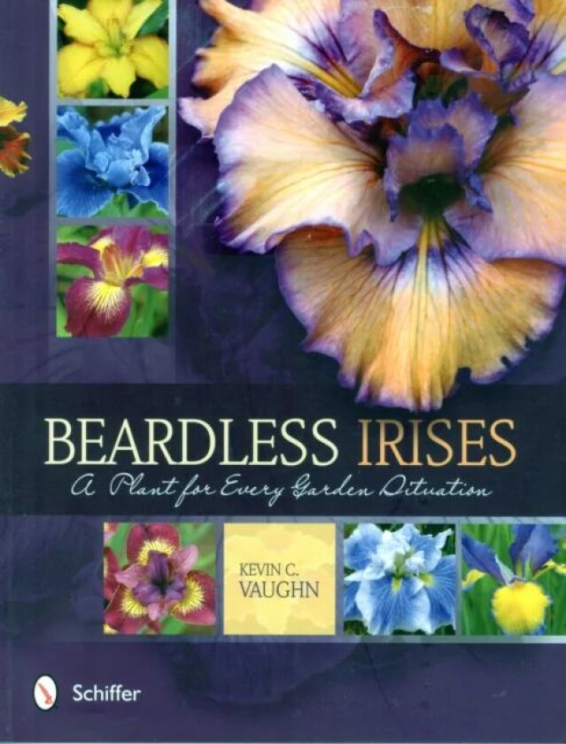 Beardless Irises av Kevin C. Vaughn