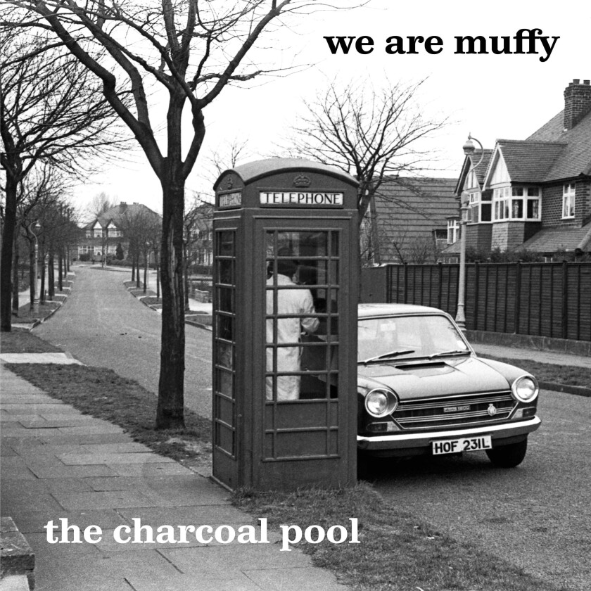 We Are Muffy Charcoal Pool LP/Vinyl