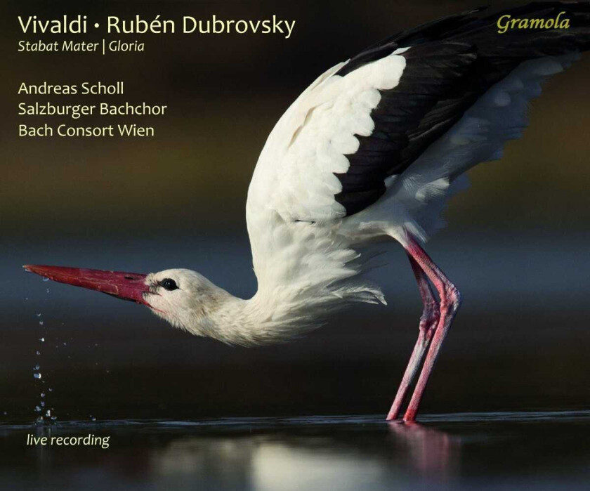 Bach Consort Wien, Salzburger Bachchor, Rubén Dubrovsky Vivaldi: Stabat Mater / Gloria CD