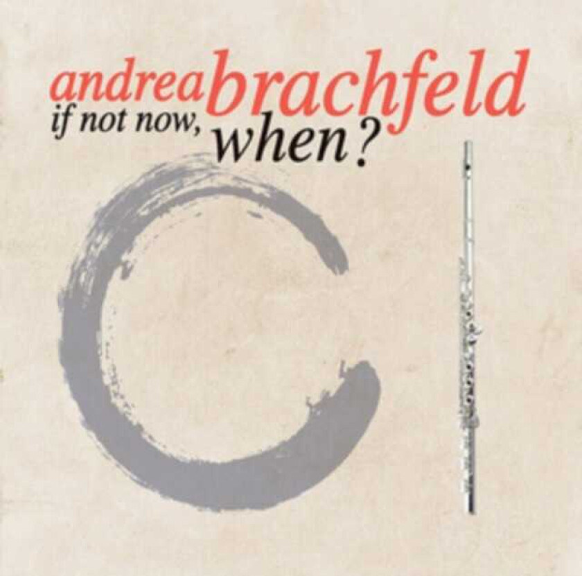 Andrea Brachfeld If Not Now, When? CD