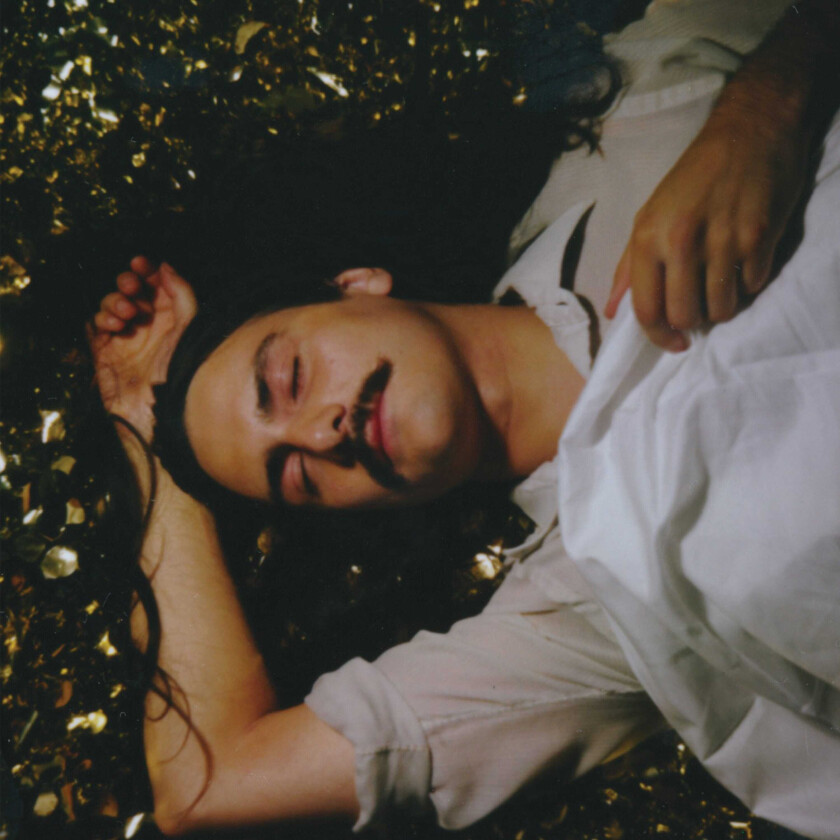 Michael Rault It's A New Day Tonight LP/Vinyl