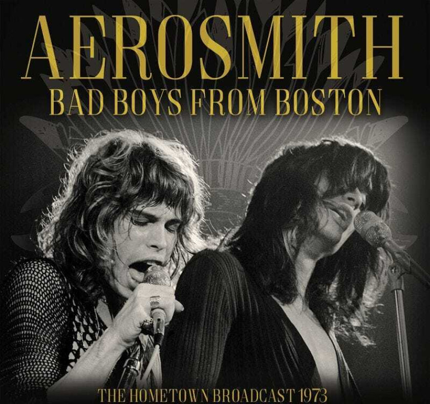 Aerosmith Bad Boys From Boston The Hometown Broadcast 1973 CD