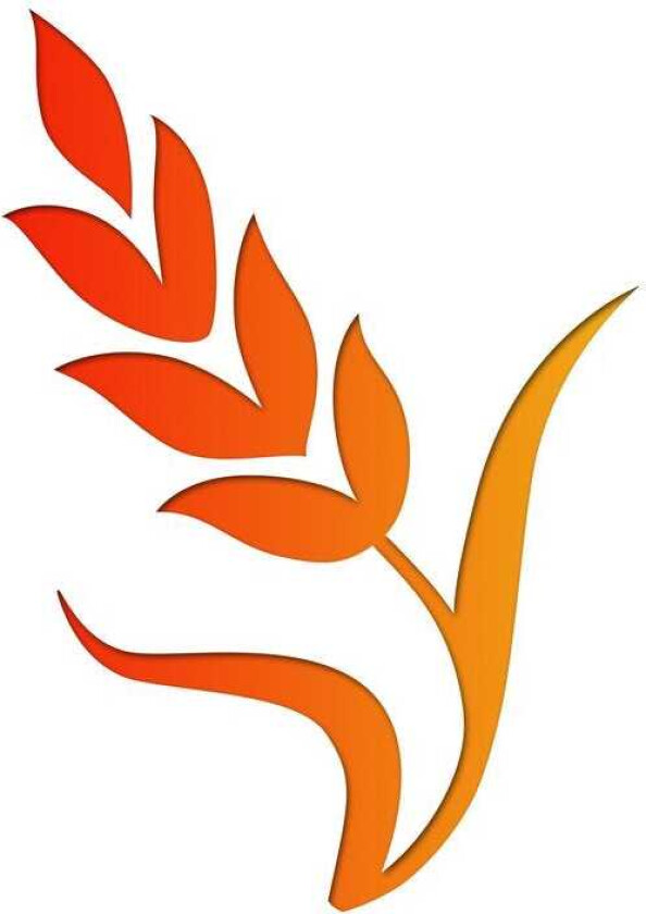 Boothroyd Pure Country LP/Vinyl