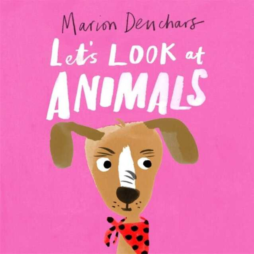 Let's Look at... Animals Board Book