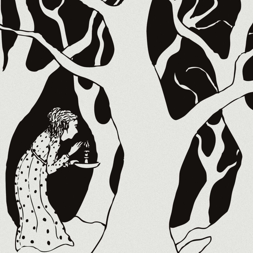 Shadow Band Wilderness Of Love CD