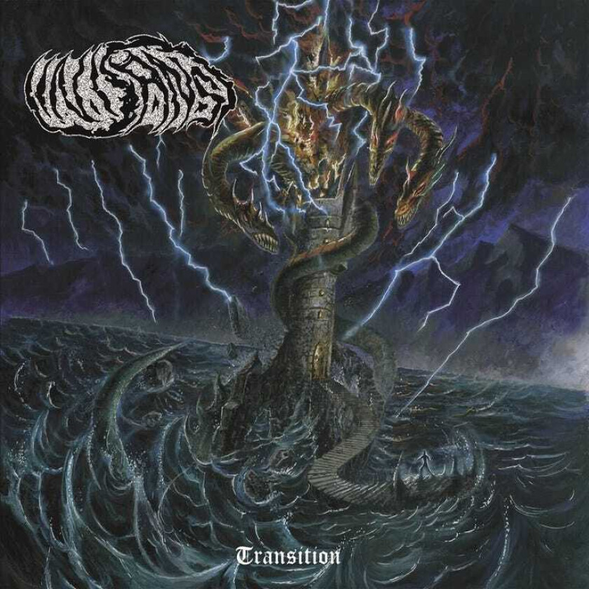 Inisans Transition LP/Vinyl