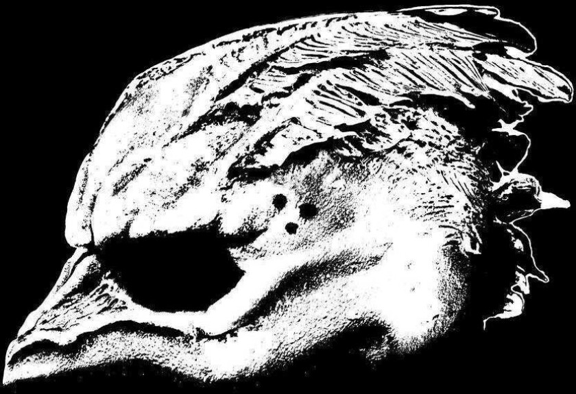 Legends Of The Seagullmen Legends Of The Seagullmen CD