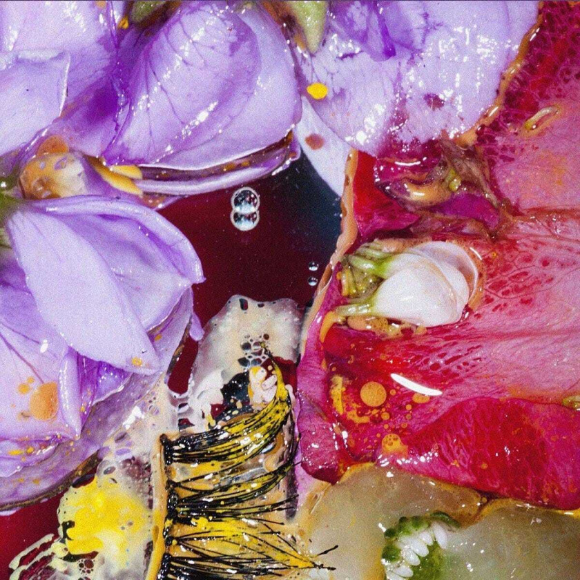 Virginia Wing, XAM Duo Forward Constant Motion LP/Vinyl