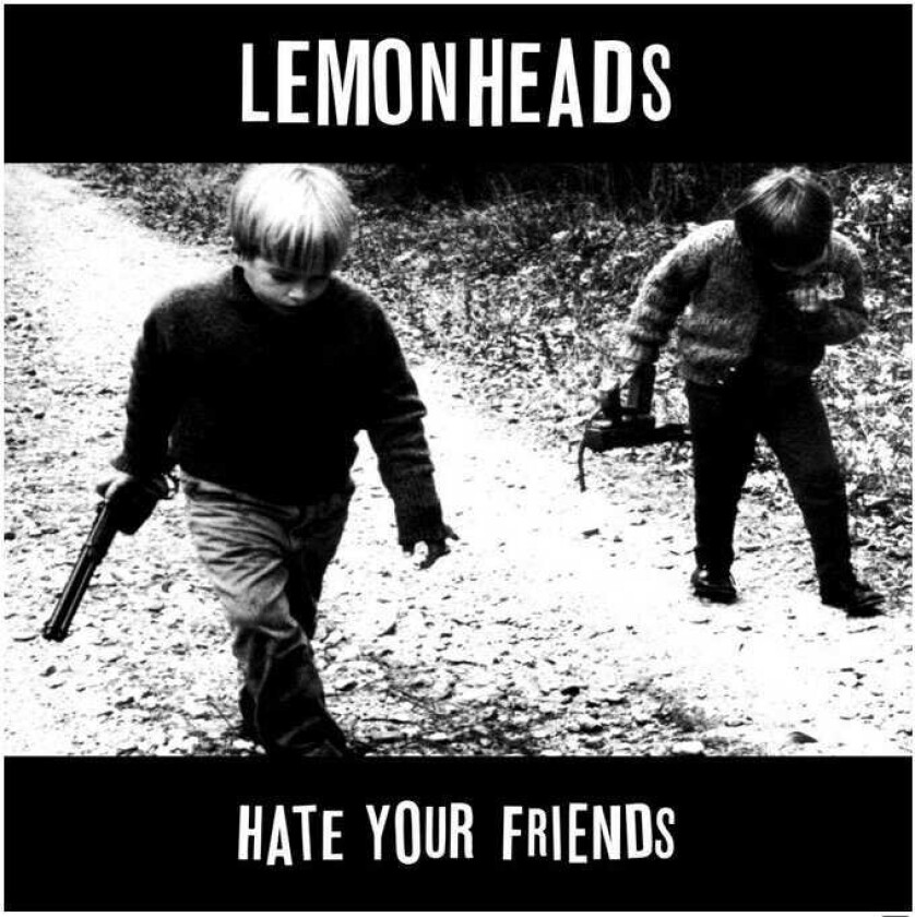 The Lemonheads Hate Your Friends LP/Vinyl