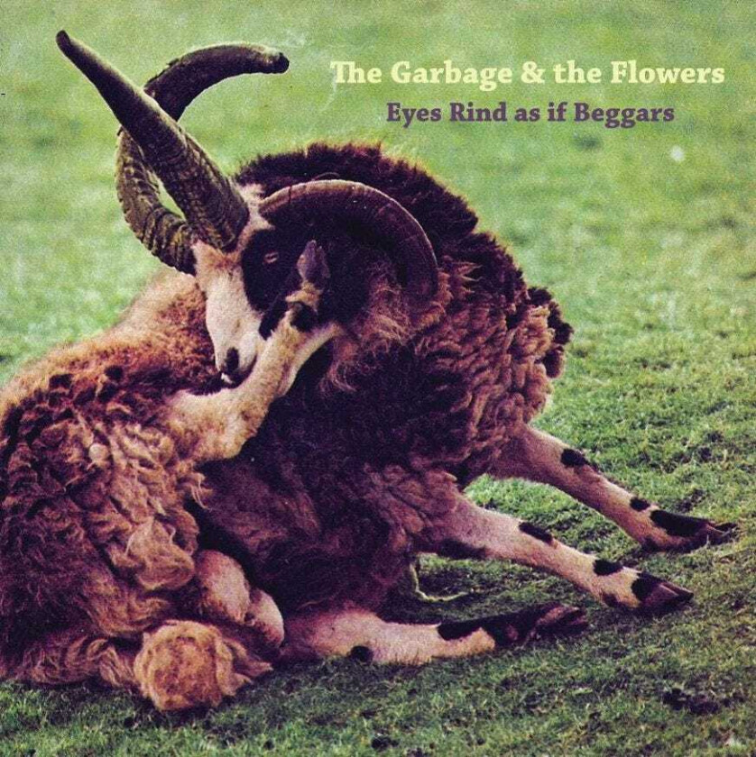 The Garbage & The Flowers Eyes Rind As If Beggars LP/Vinyl