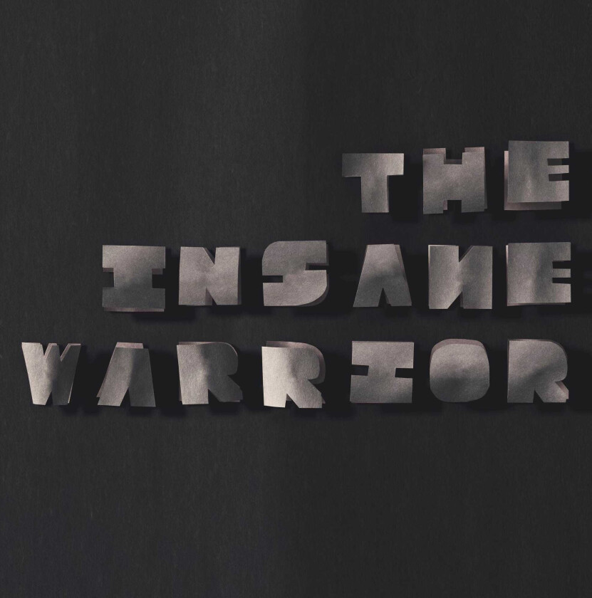 Insane Clown Posse (ICP) Rjd2 Dba R J Electrical Connection CD