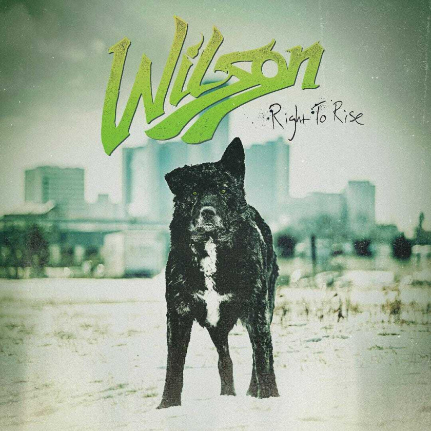 Wilson (Rock) Right To Rise LP/Vinyl