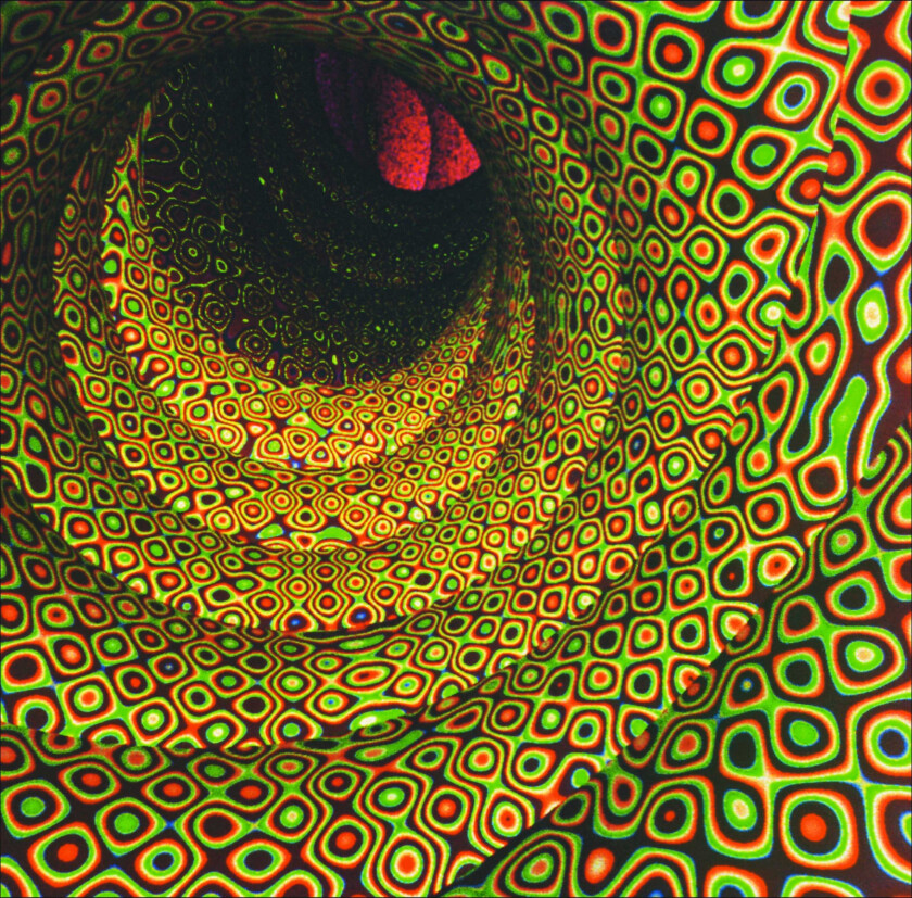 Easy Magic Seed CD