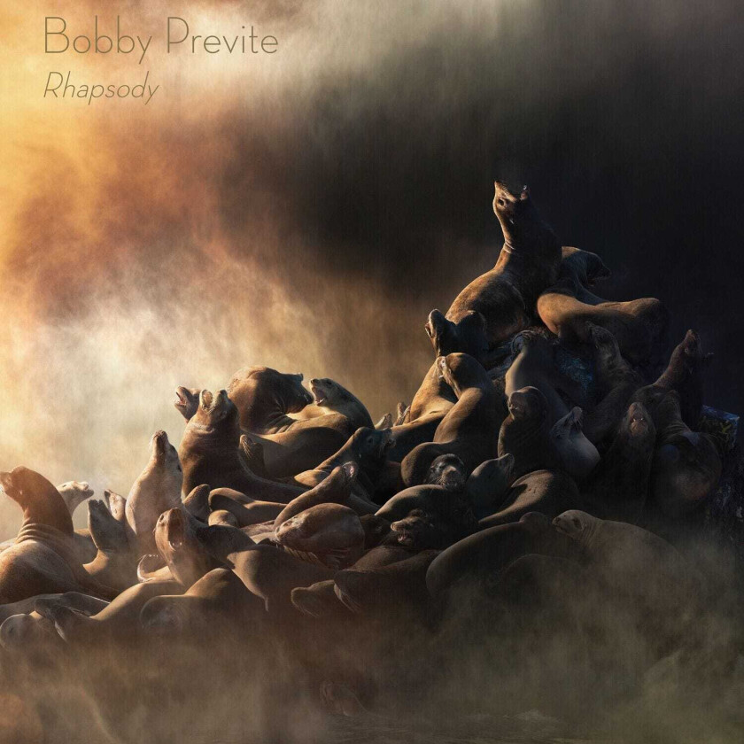 Bobby Previte & The New Bump  Rhapsody  CD