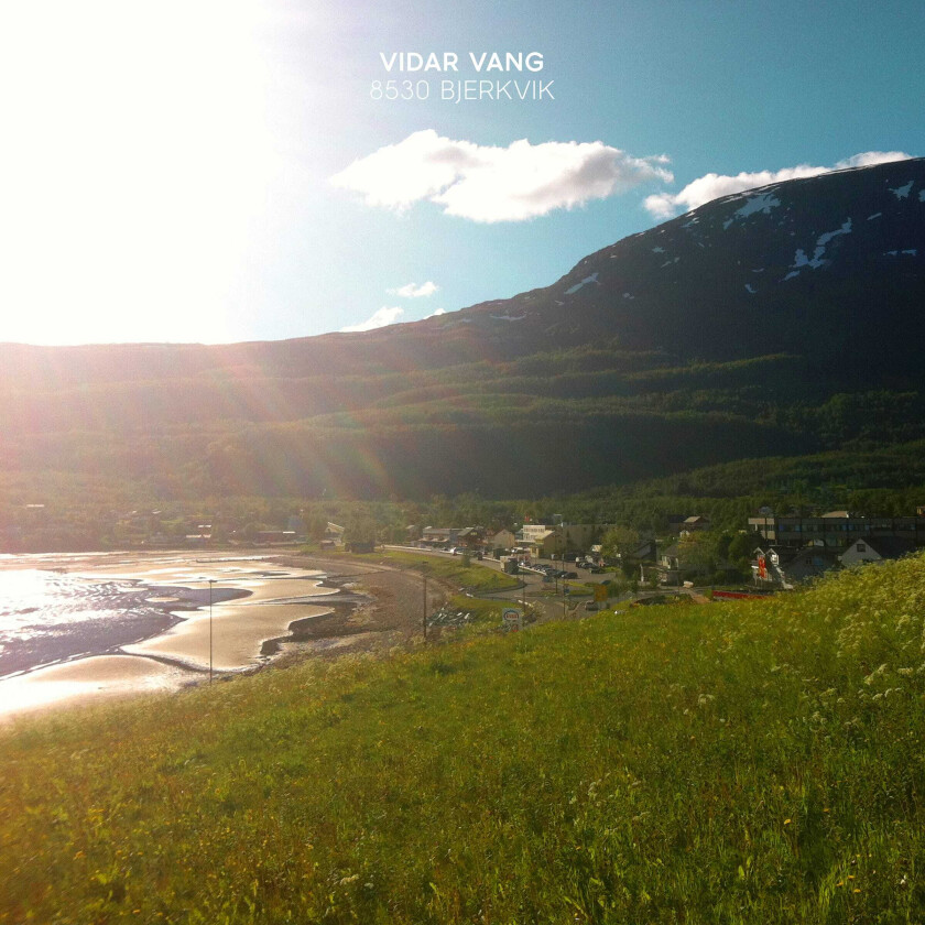 Vidar Vang 8530 Bjerkvik LP/Vinyl