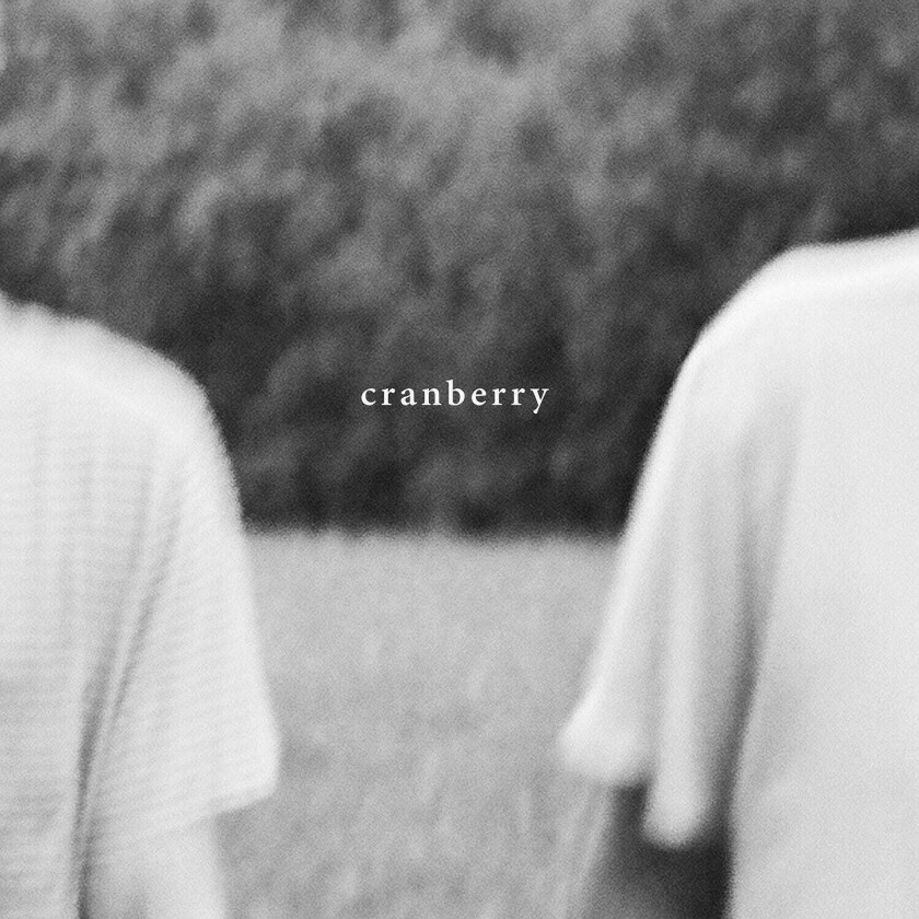 Hovvdy Cranberry LP/Vinyl