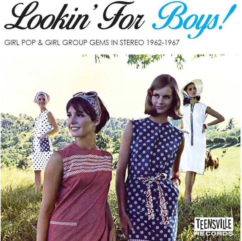 Diverse Artister  Lookin' For Boys!  Girl Pop & Girl Group Gems In Stereo 19621967  CD