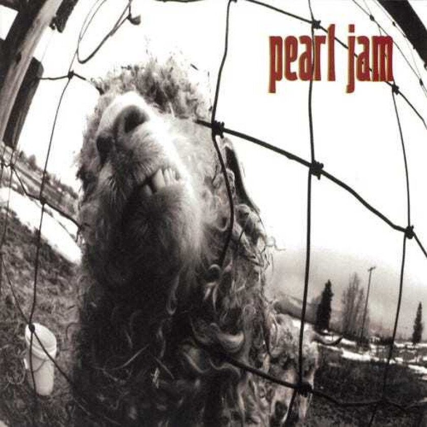 Pearl Jam  Vs.  CD