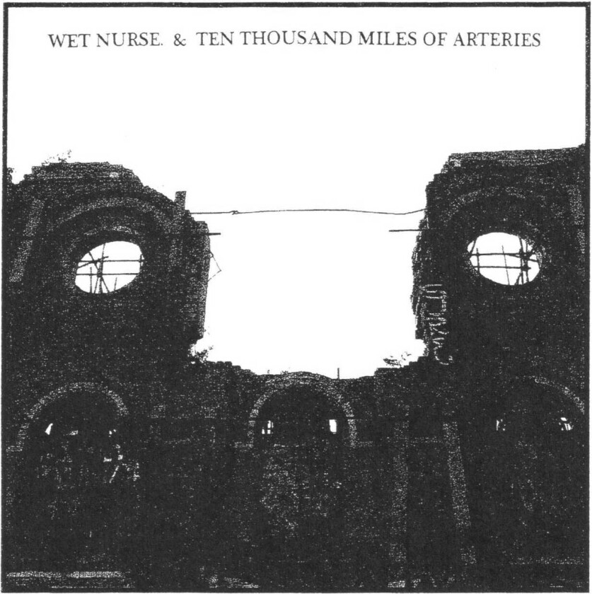 Wet Nurse & Ten Thousand Miles Of Arteries Split Cd CD