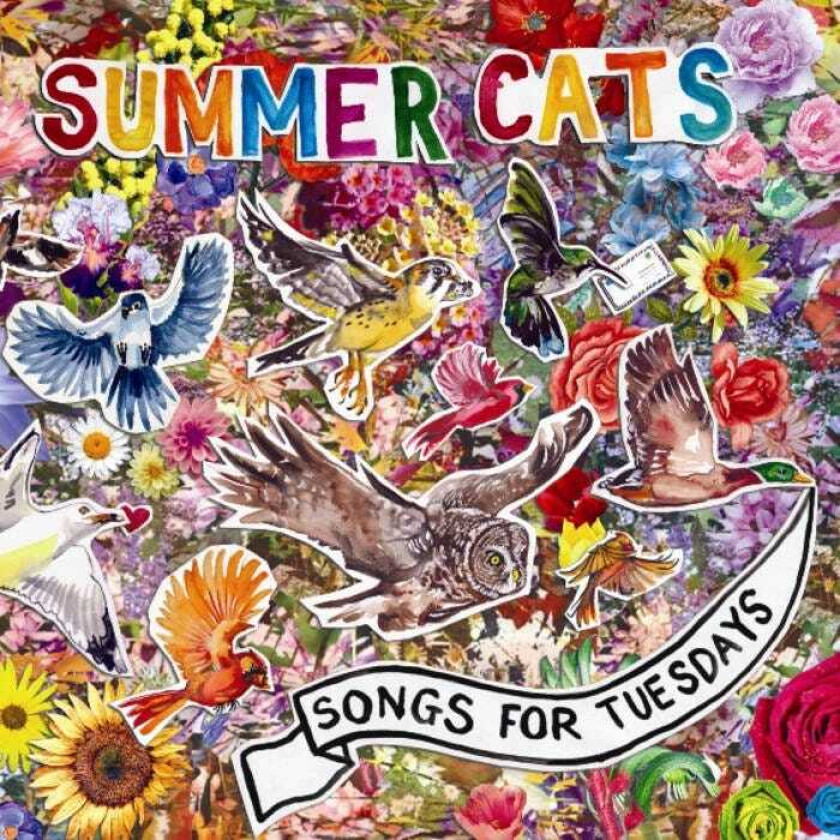 Summer Cats Songs For Tuesdays CD