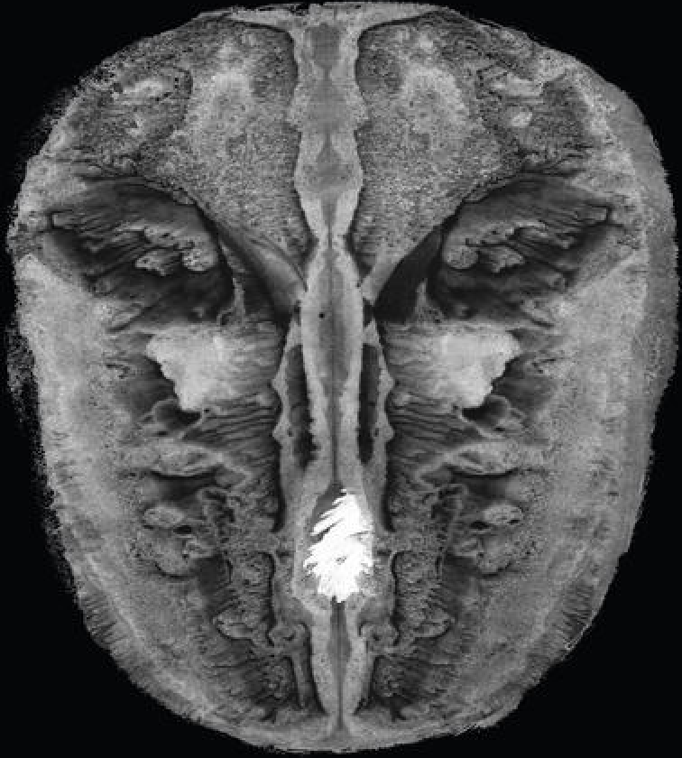 Irmler/Oesterhelt Die Gesänge Des Maldoror CD