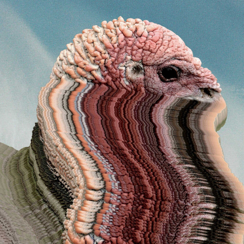 Holy Fuck Bird Brains LP/Vinyl