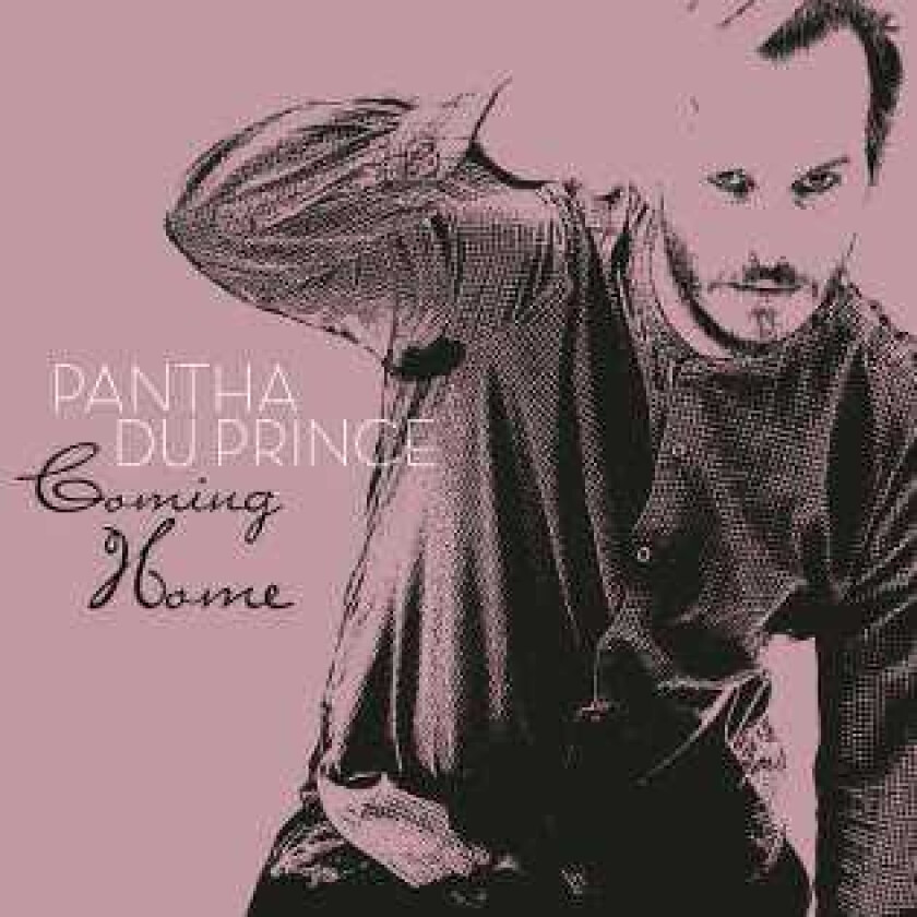 Diverse Electronica  Coming Home By Pantha Du Prince  CD