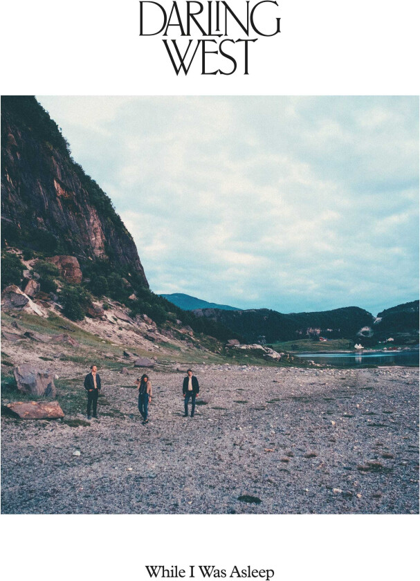 Darling West While I Was Asleep LP/Vinyl