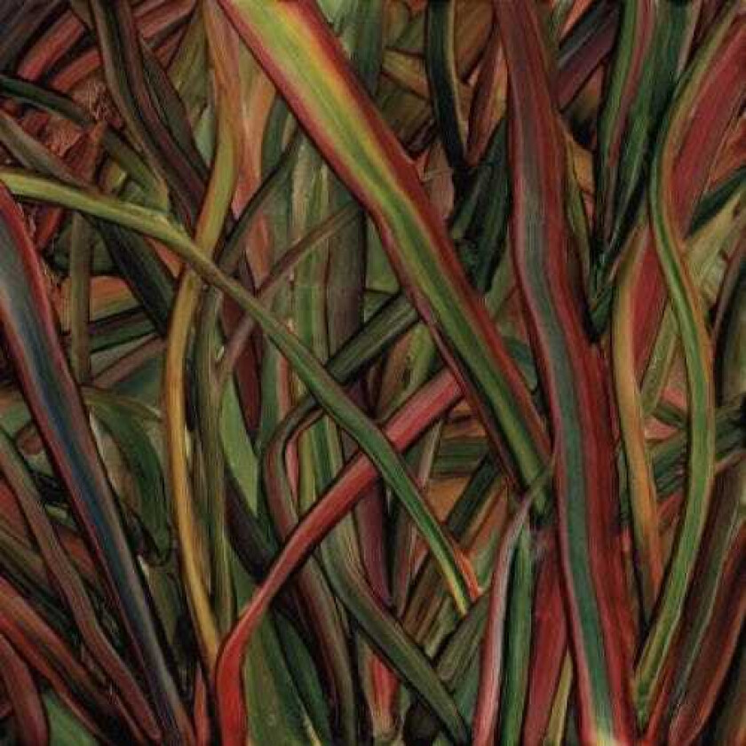 Gengahr : Where Wilderness Grows CD (2018)