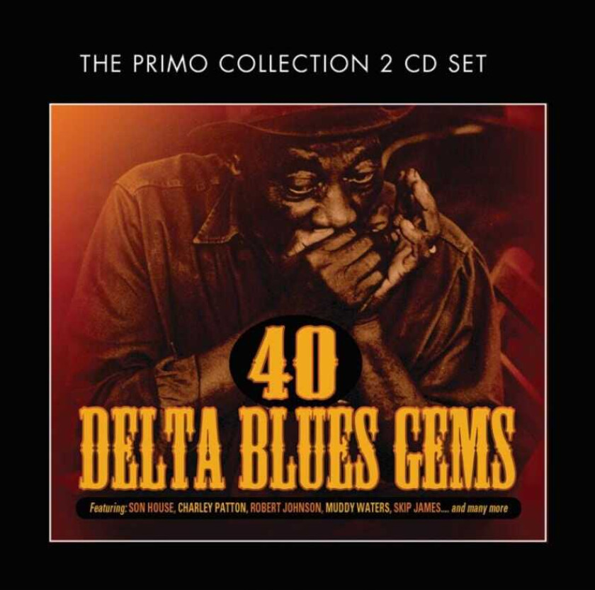 Diverse Blues  40 Delta Blues Gems  CD