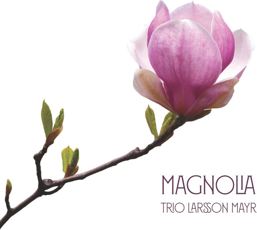 Trio Larsson Mayr  Magnolia  CD